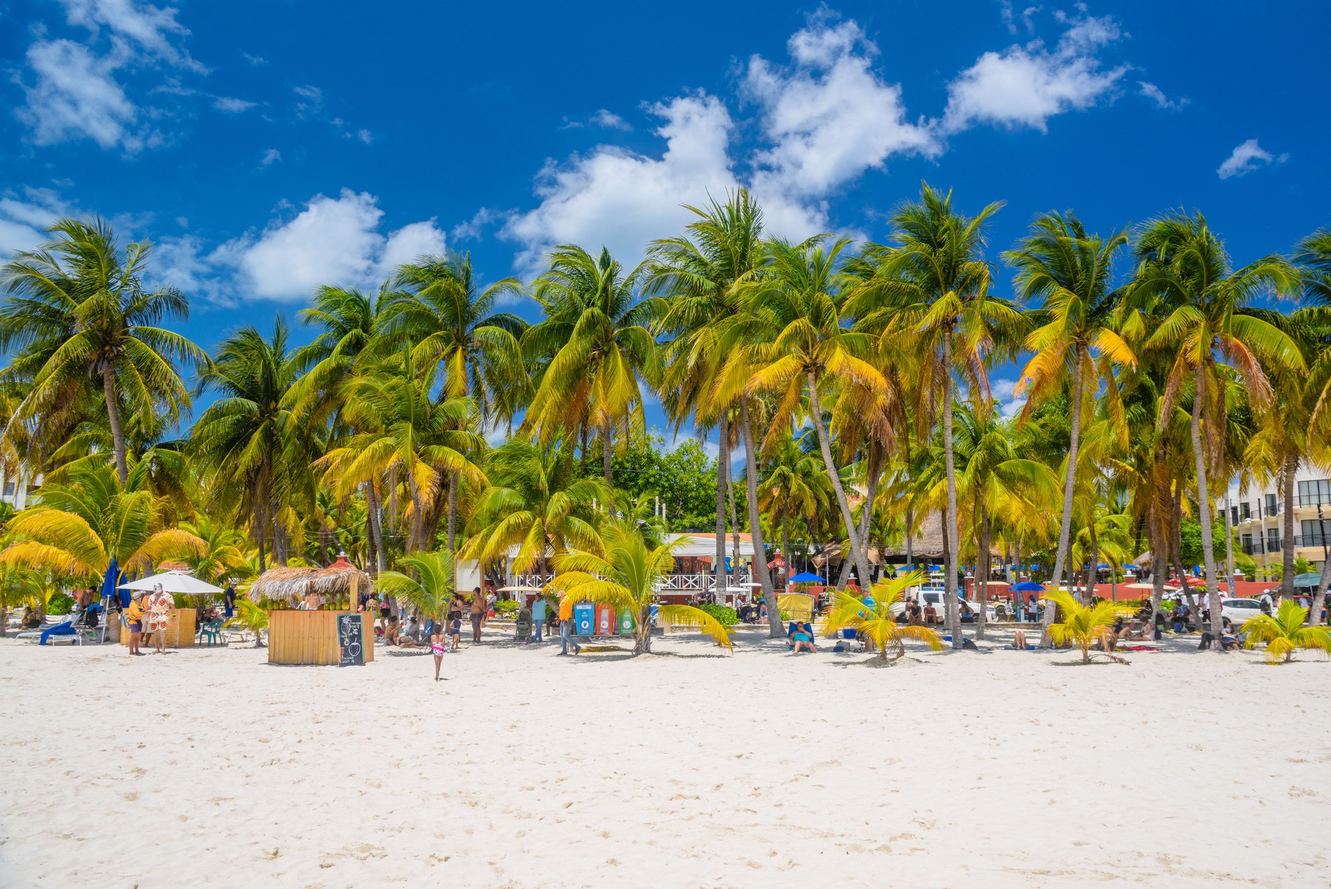 Cocos beach bar on a beach with white sand and palms on a sunny day, Isla Mujeres island, Caribbean Sea, Cancun, Yucatan, Mexico